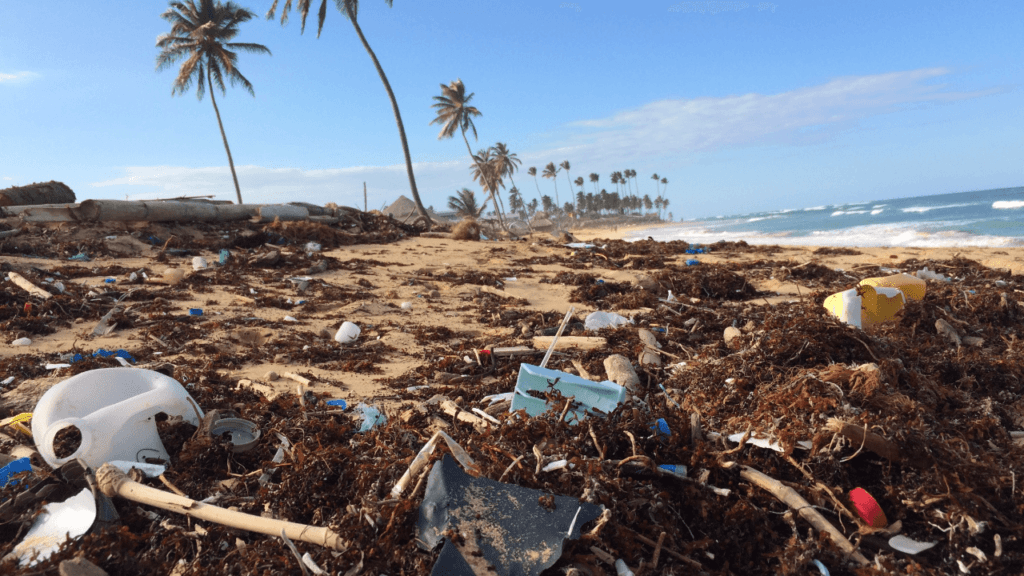 Pandemia di Plastica negli Oceani: Nuovo Record Allarmante Svelato