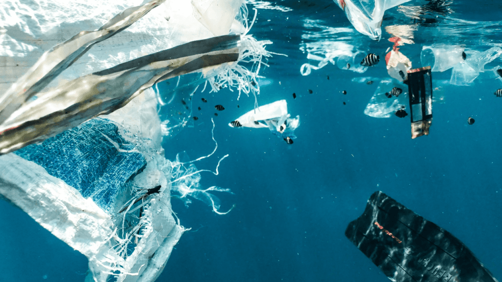 Pandemia di Plastica negli Oceani