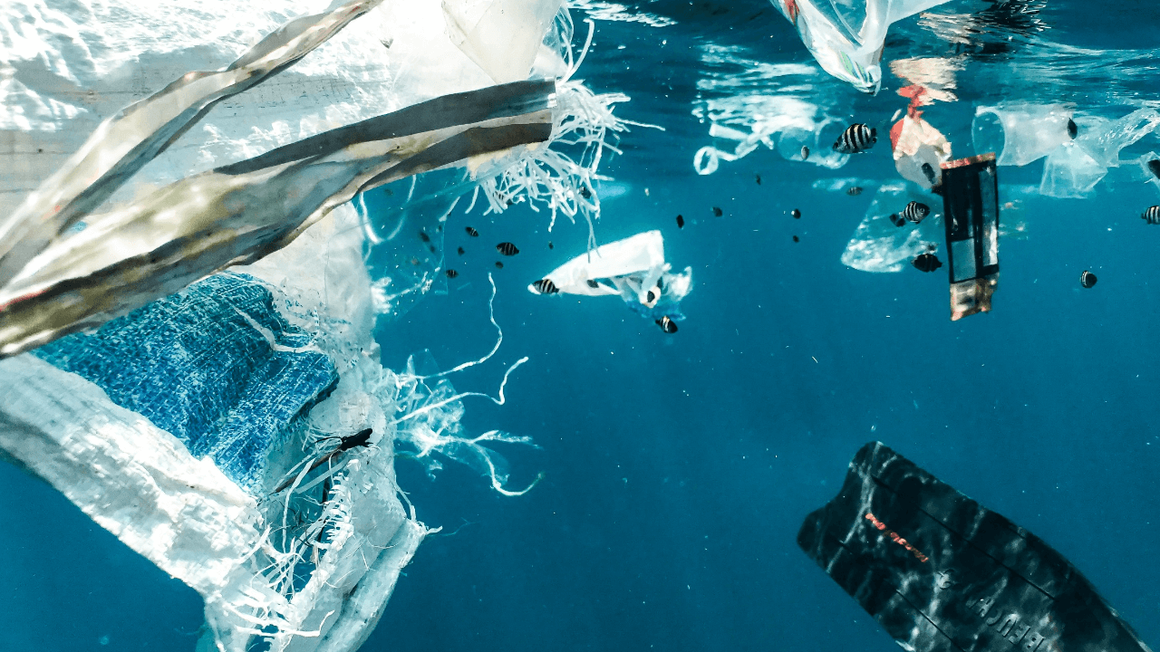 Pandemia di Plastica negli Oceani: Nuovo Record Allarmante Svelato